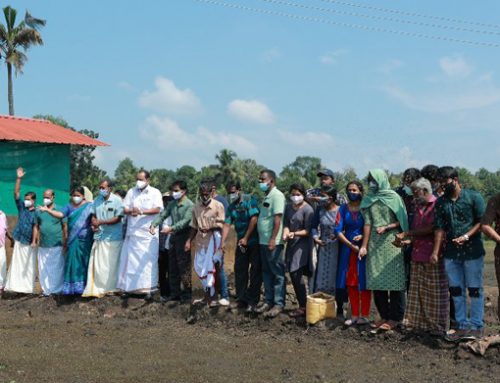 Paddy Cultivation Yajna Inauguration