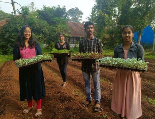 Cool season vegetable cultivation at CMS College by NSS Unit.