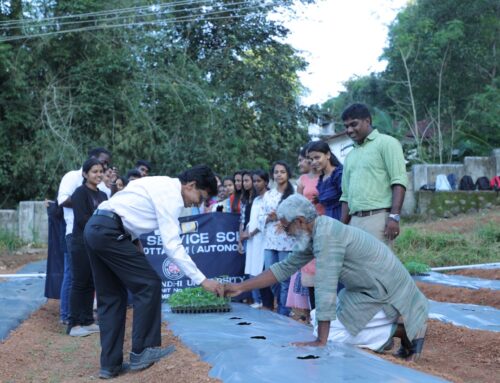Inauguration of Pappaya Cultivation